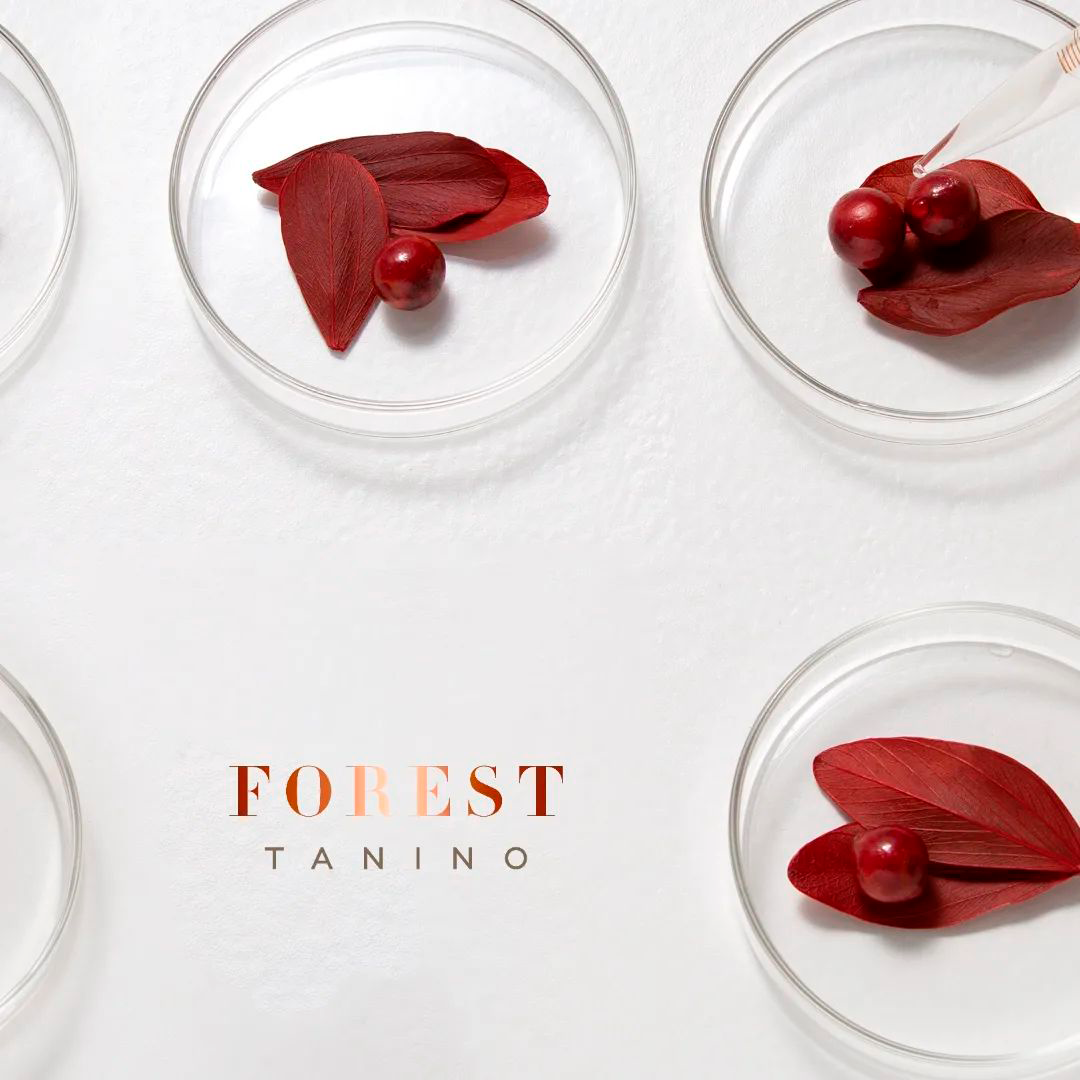 Forest Tanino Step 1 and 2 Without Formaldehyde 1L + Hair Mask - 200g